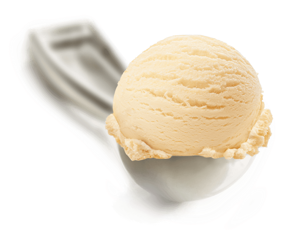Homemade Vanilla - Scoop Vanilla Ice Cream (1026x933), Png Download