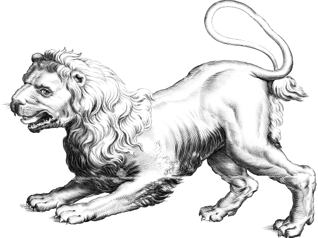Leo Png Transparent Images - Icanvas Astronomy And Space 'leo (lion)' Painting Print (640x480), Png Download