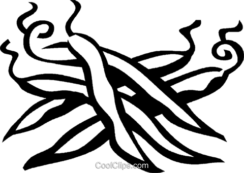 Green Beans Royalty Free Vector Clip Art Illustration (480x341), Png Download