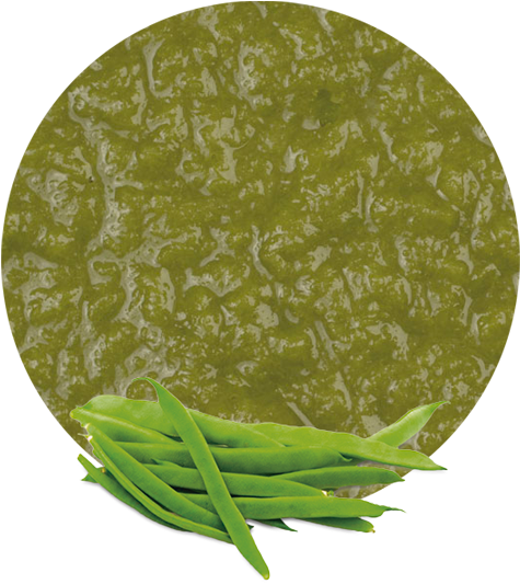 Our Green Bean Puree Product Is Processed From Finest, - Chives (536x595), Png Download