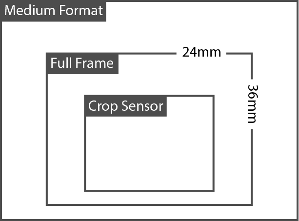 Same Amount Of Light, The Crop Body Sensor Cuts The - Aspect Ratio (613x453), Png Download