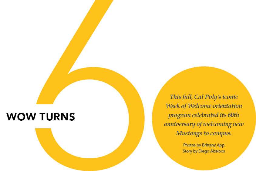 Hundreds Of Wowies Gathered At The Sports Complex For - Circle (844x564), Png Download