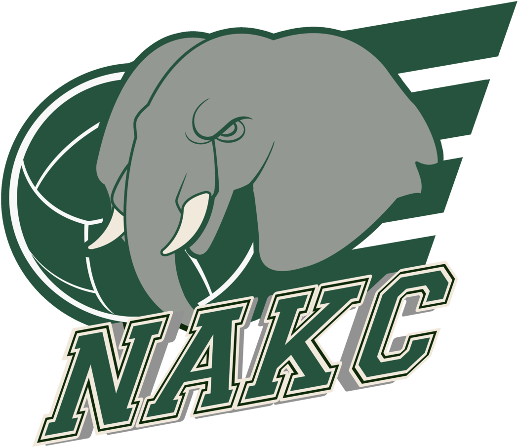 Graphic Design (1200x1114), Png Download