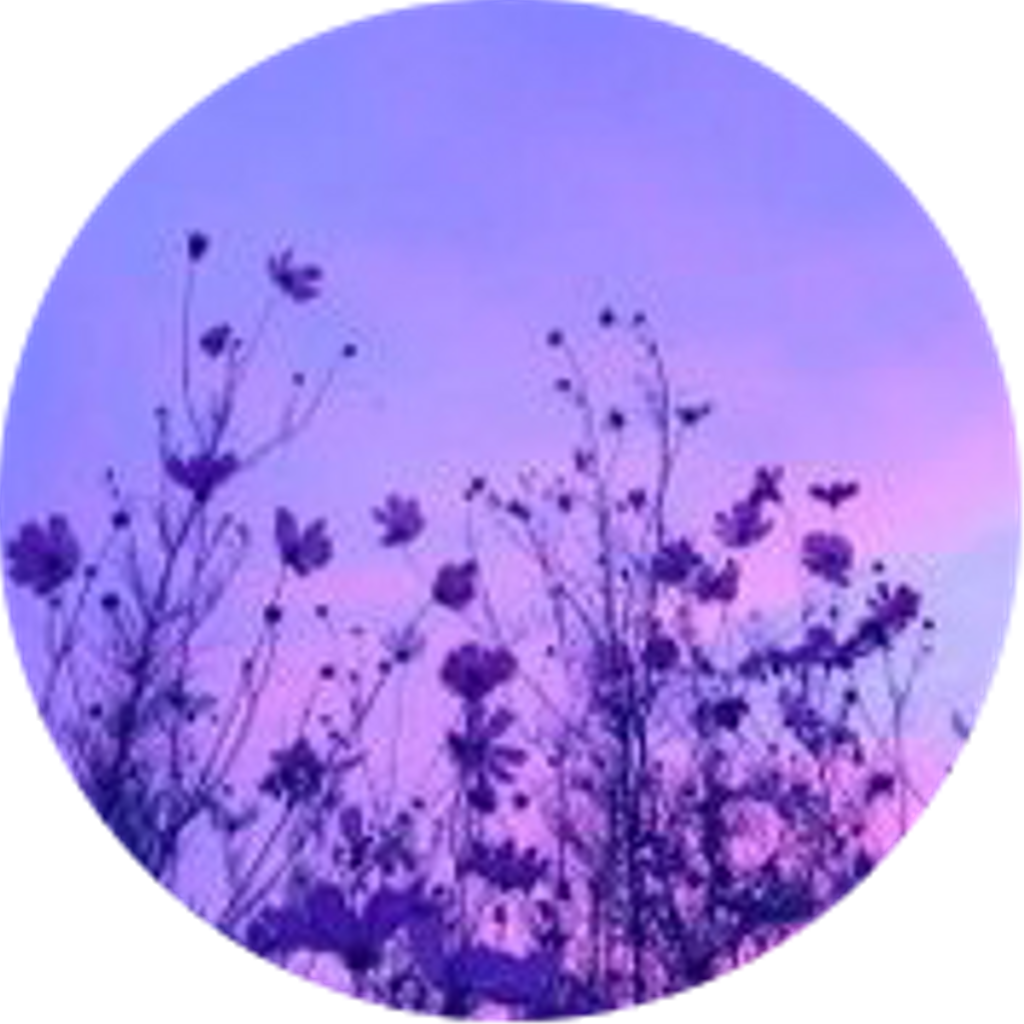 Aesthetic Circle Icon Purple Flowers Flower Purpleaesth - Tide Lyrics Niall Horan (1024x1024), Png Download
