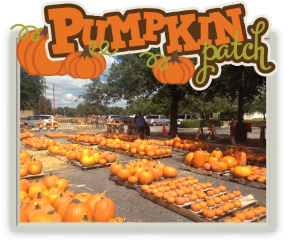 Pumpkin (1096x863), Png Download