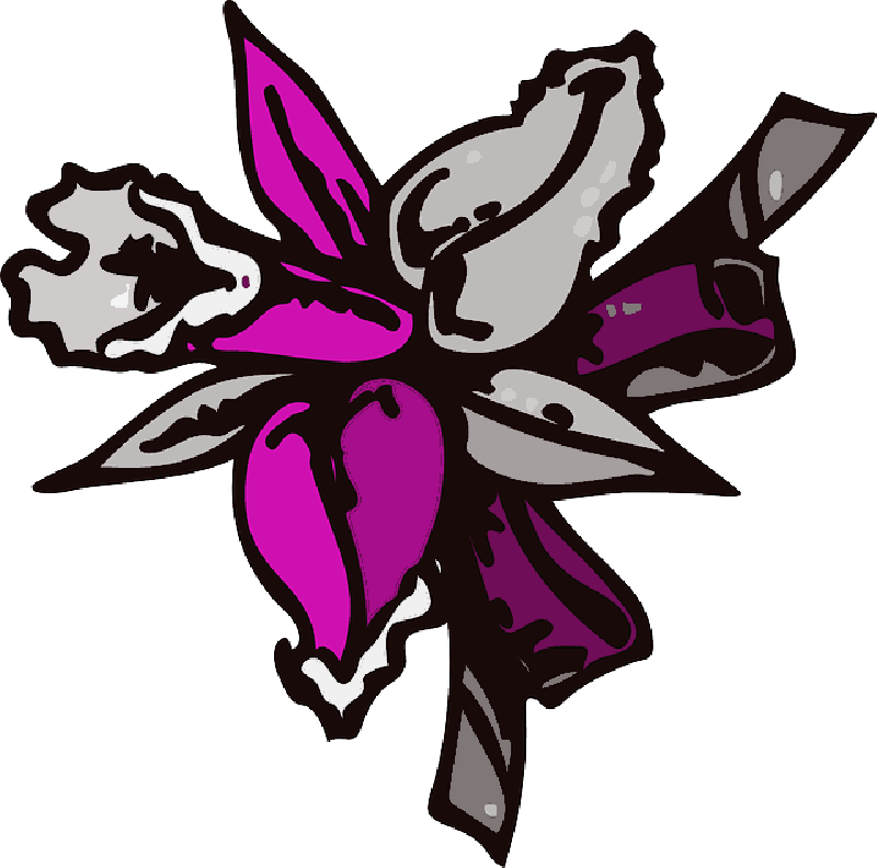 Mb Image/png - Cartoon Flowers (800x792), Png Download