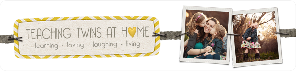 Teaching Twins At Home - Teacher (1000x270), Png Download