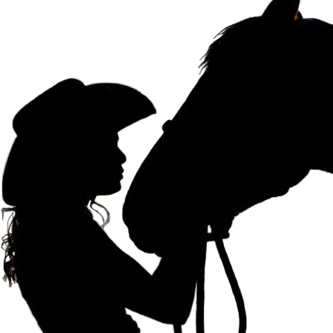 Cowgirl And Horse Silhouette (480x480), Png Download