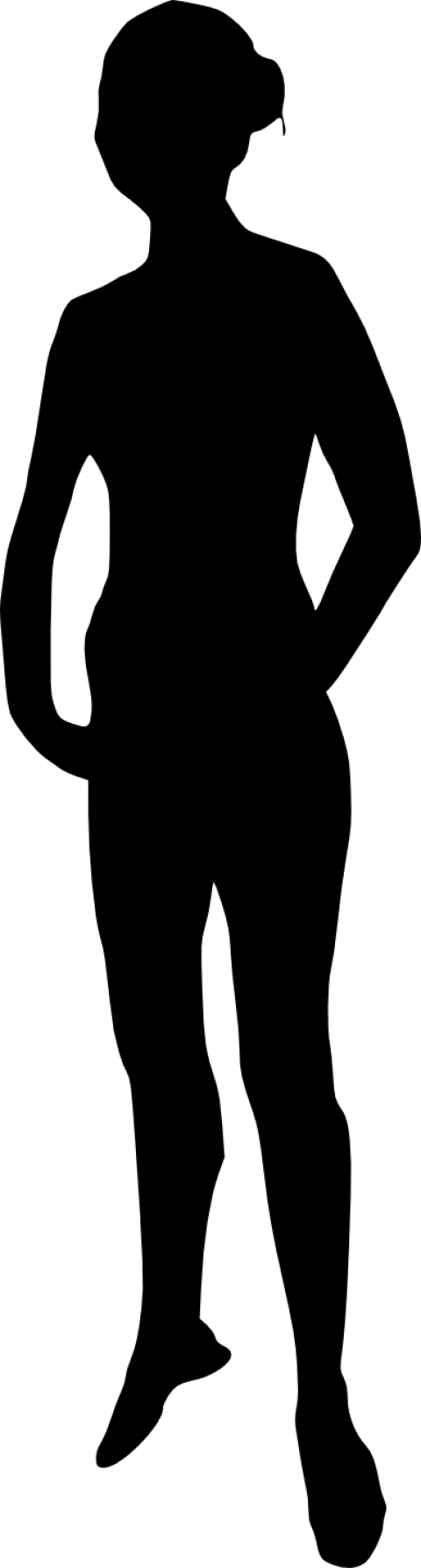 Free Png Ballerina Silhouette Png Images Transparent (480x1787), Png Download