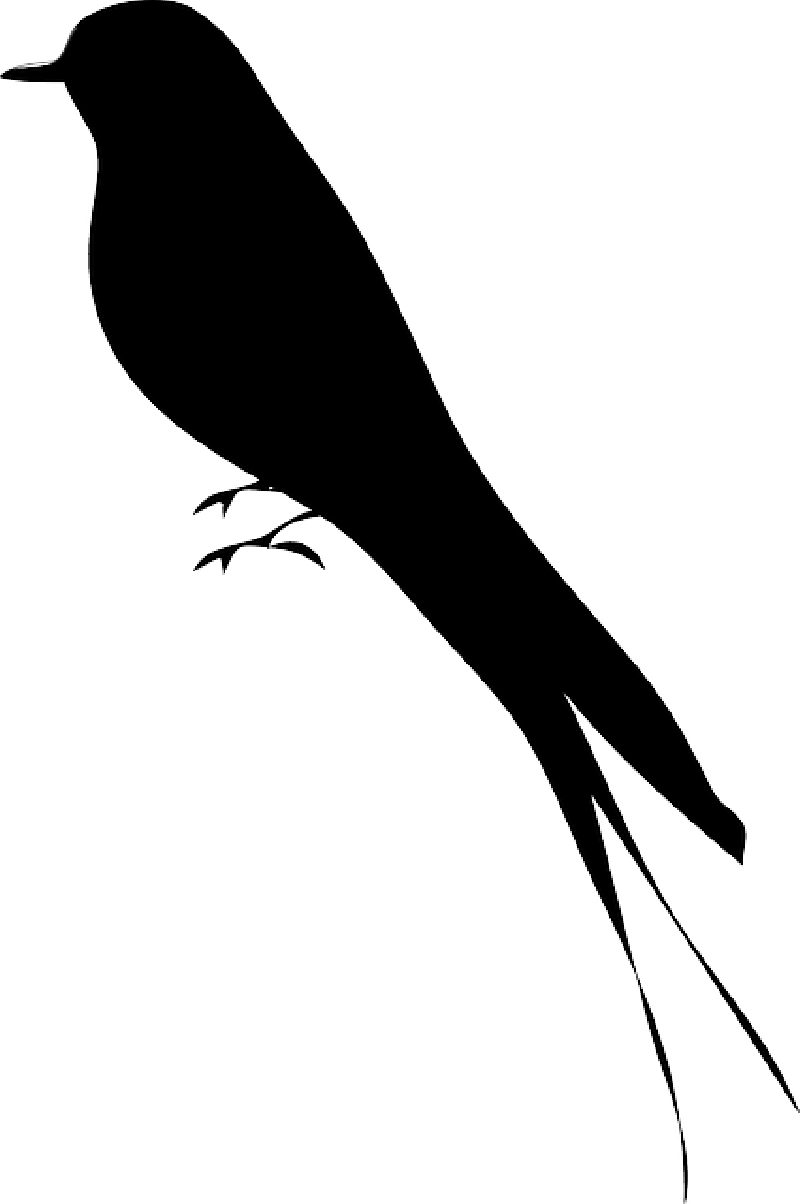 Download Silhouette, Tree, Cartoon, Birds, Bird, - Bird Silhouette PNG Image with No Background Download Silhouette, Tree, Cartoon, Birds, Bird, - Bird Silhouette PNG Image with No Background
