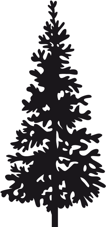 Christmas Tree Silhouette Wall Sticker - Christmas Tree Silhouette (374x743), Png Download