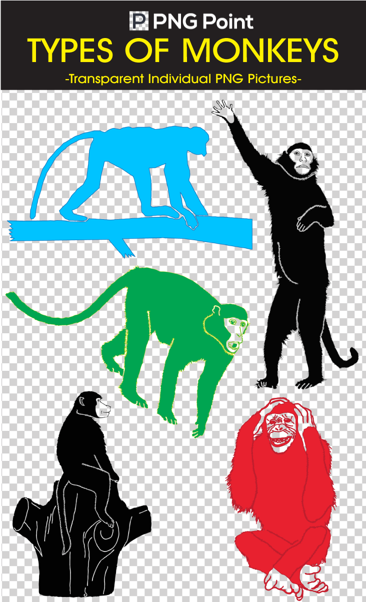 Silhouettes Images, Icons And Clip Arts Of Variety - Illustration (763x1202), Png Download