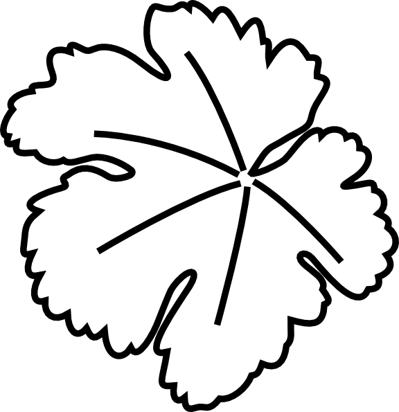 Pumpkin Leaf Clip Art At Clker - Giant Pumpkin Leaf Outline (576x595), Png Download