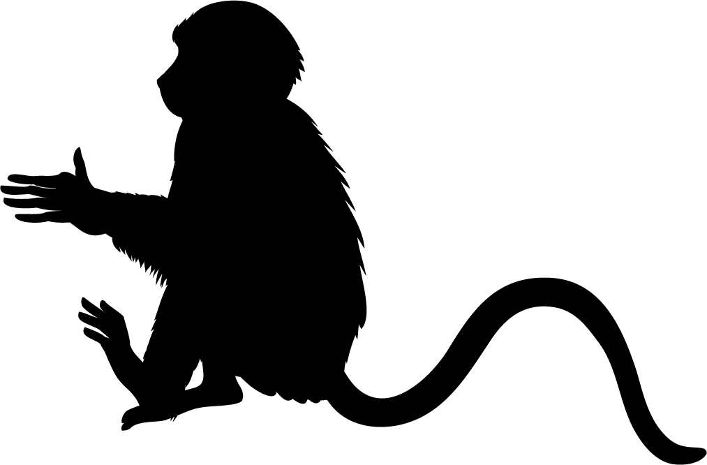 Monkey Black Silhouette - Silhouette Singe (1013x666), Png Download