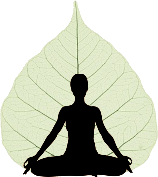 Beleaf Yoga Studio - Stickalz Llc Om Yoga Lotus Flower Vinyl Wall Art Decal (705x768), Png Download