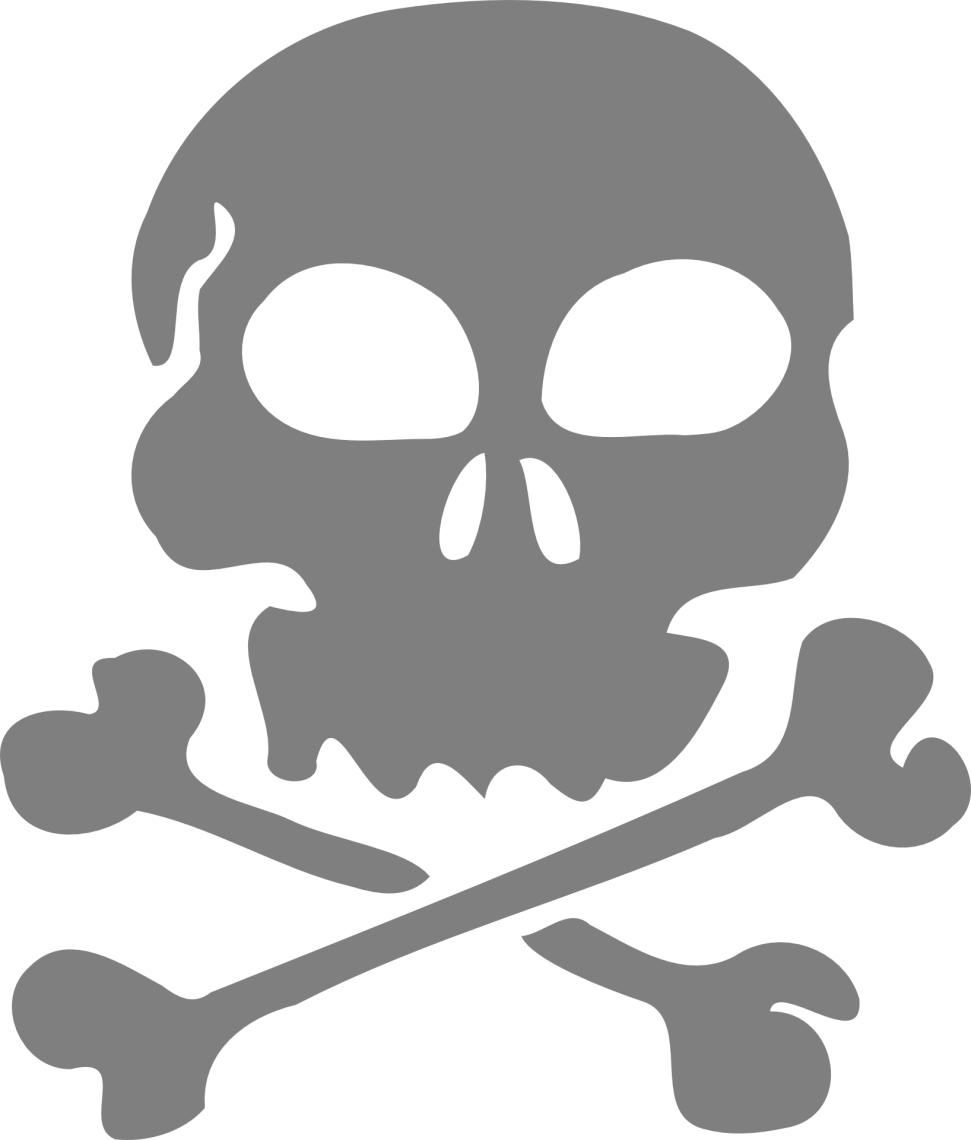 Human, Silhouette - Skull With Bones Transparent (971x1140), Png Download