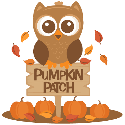 Owl In Pumpkin Patch Svg Scrapbook Cut File Cute Clipart - Cute Pumpkin Patch Clipart (432x432), Png Download