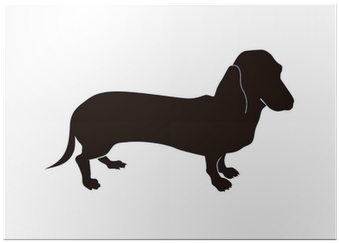 Person Your Rat Thinks You (400x400), Png Download