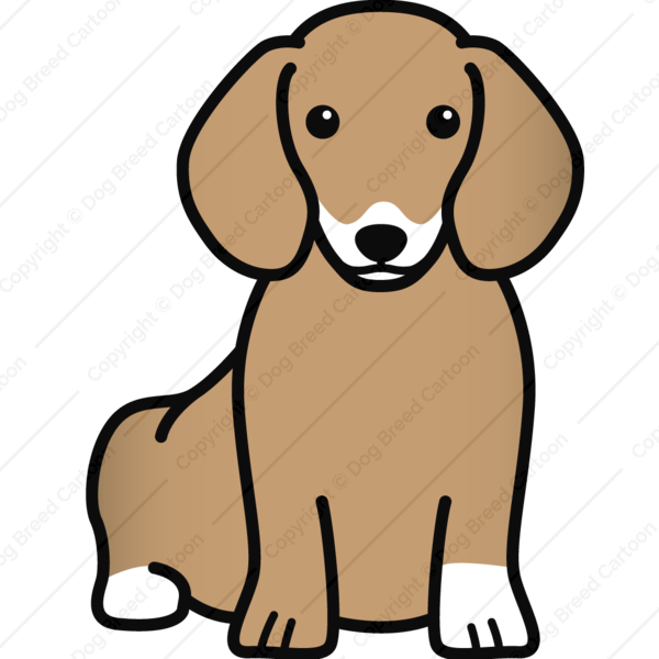 Edition Dog Breed Cartoon Download Your - Dachshund Cartoon (600x600), Png Download