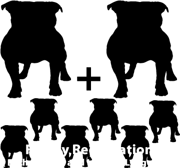 Family Online Registration - Ancient Dog Breeds (375x375), Png Download