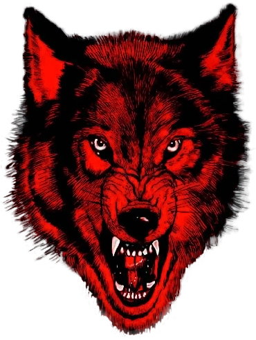 79natms - Wolf Pac Nwo Logo (374x504), Png Download