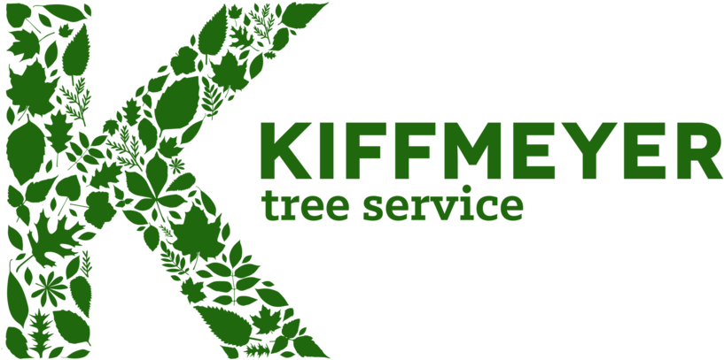 Kiffmeyer Tree Service Logo Design (1000x1000), Png Download