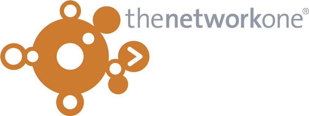 How Do You Meet Growing Demand From Clients Seeking - Thenetworkone Logo (1500x377), Png Download
