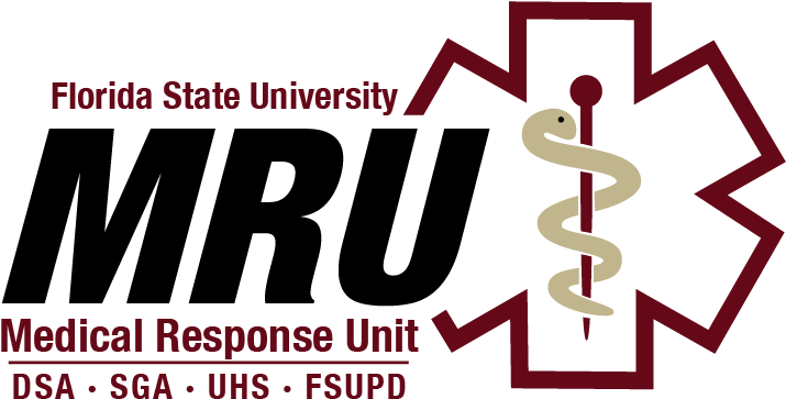 Medical Response Unit - Star Of Life (1000x619), Png Download