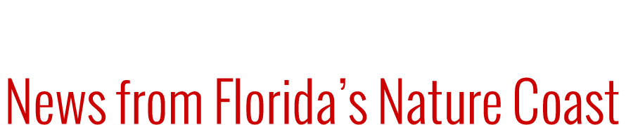 Spring Hill Courier - Powell Middle School (900x190), Png Download