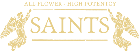 Vendor Day - Saints - Illustration (600x266), Png Download