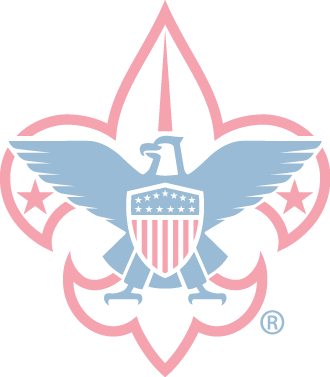 Boy Scouts - Boy Scouts Of America Logo (330x377), Png Download