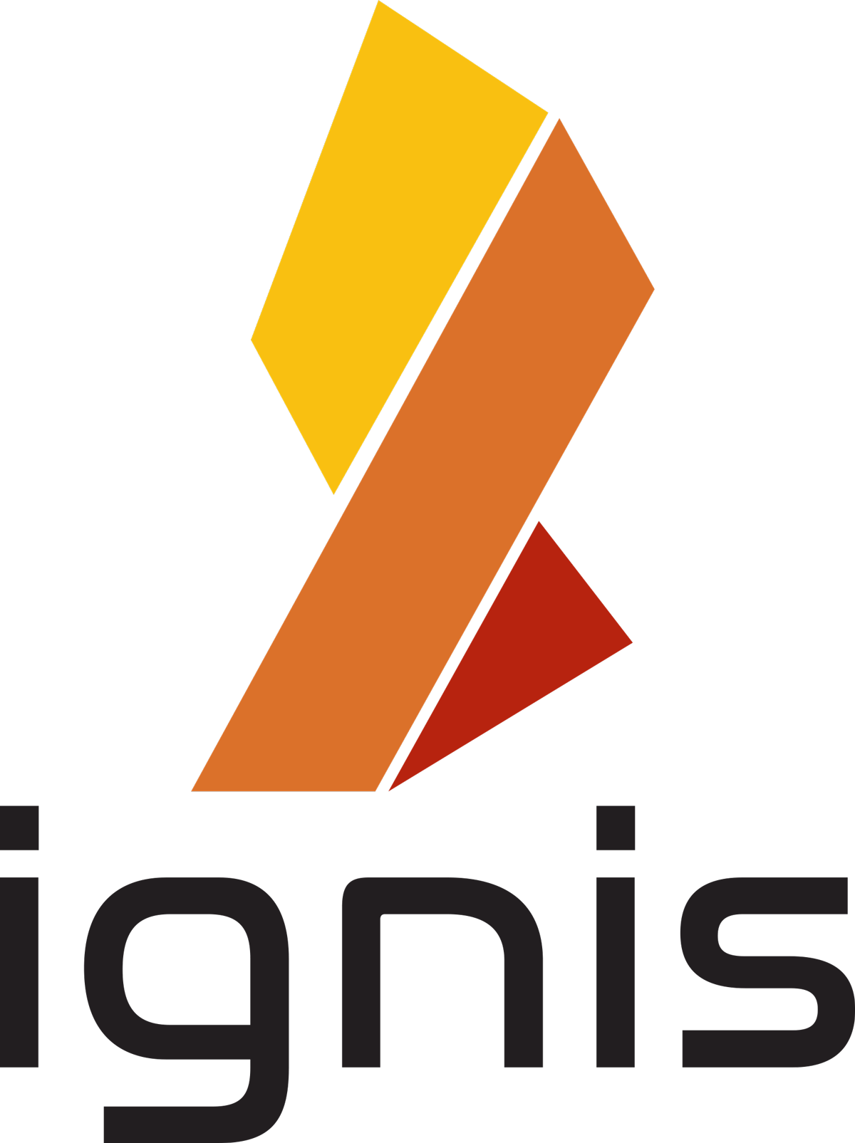 Nxt Proof Of Stake Blockchain - Ignis Coin Logo (1200x1605), Png Download