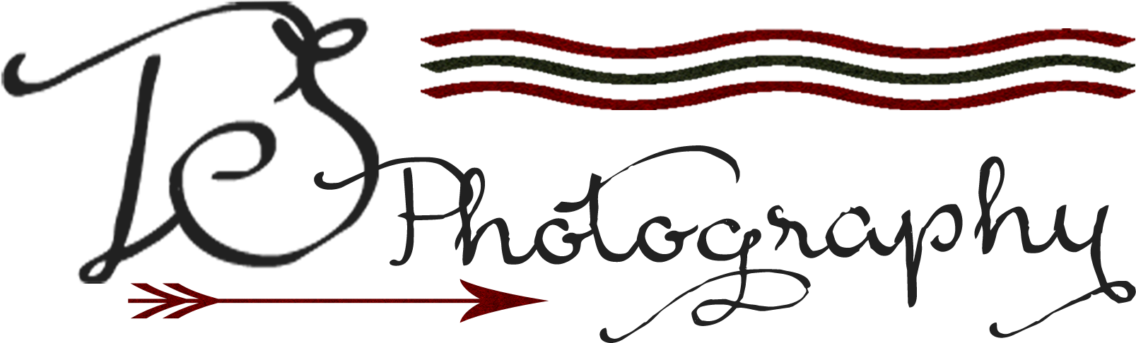 Sarah Toro - Ts Photography Logo Png (1800x1200), Png Download