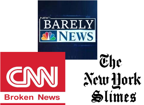 New York Times - New York Times Best Seller Graphic (490x368), Png Download