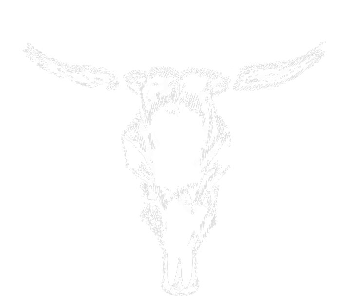 Longhorn Steakhouse Logo - Longhorn White Png (850x850), Png Download
