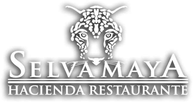 Hotel El Mesón Del Marqués - Nombres De Restaurantes Mayas (1140x430), Png Download