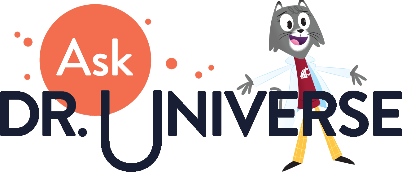 Ask Dr - Universe - Job (1378x560), Png Download