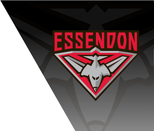 Gold Coast Suns Logo Essendon Bombers Logo - Essendon Fc (752x423), Png Download