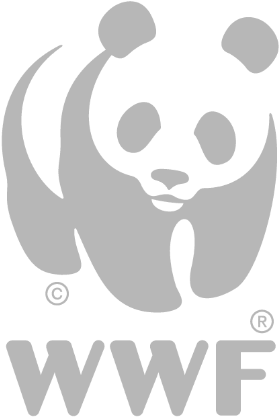 Wwf Logo - Wwf Congo Basin Chess (900x500), Png Download