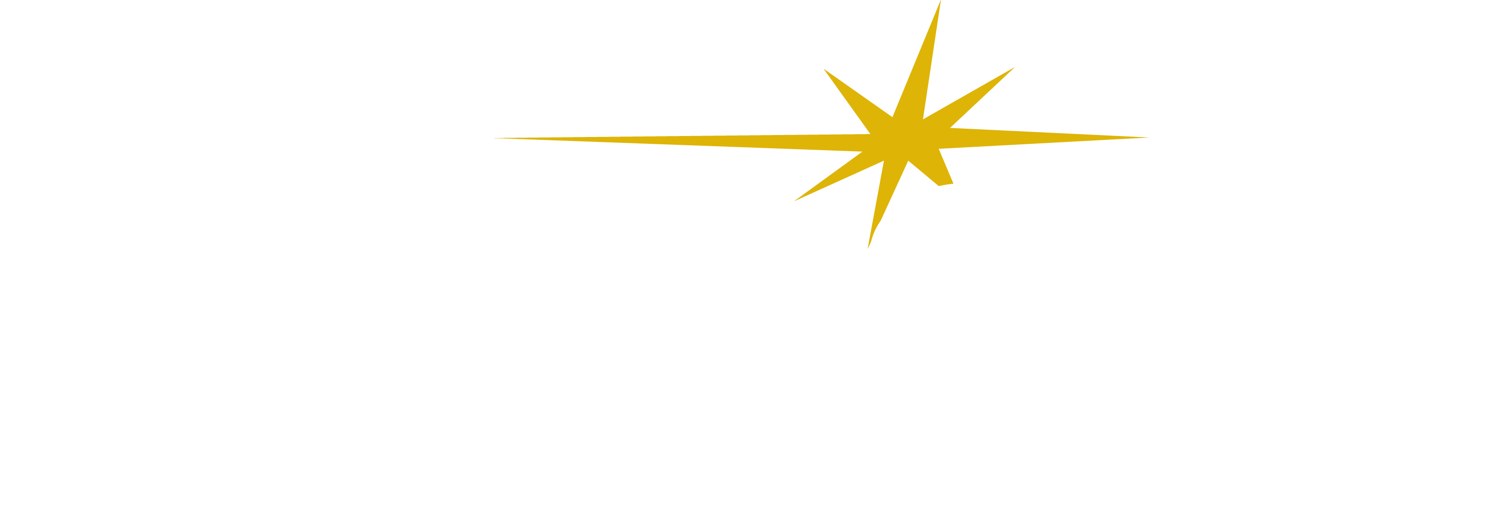 Png - Nautic Star Boats Logo (3045x1042), Png Download