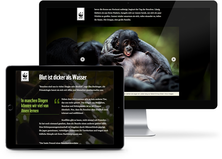 Save The Bonobos - Website (900x800), Png Download