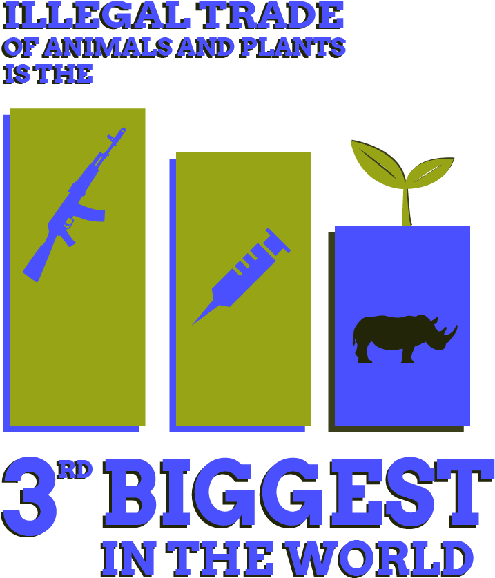 Dataviz Biodiversite English 08 1 - Poster (757x868), Png Download