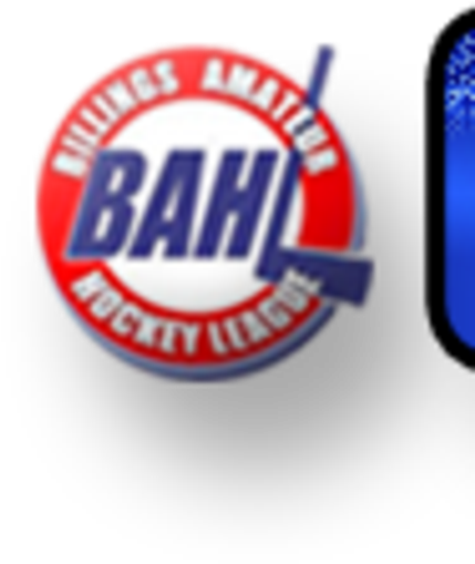 Usa Hockey - Campaign - Label (797x592), Png Download