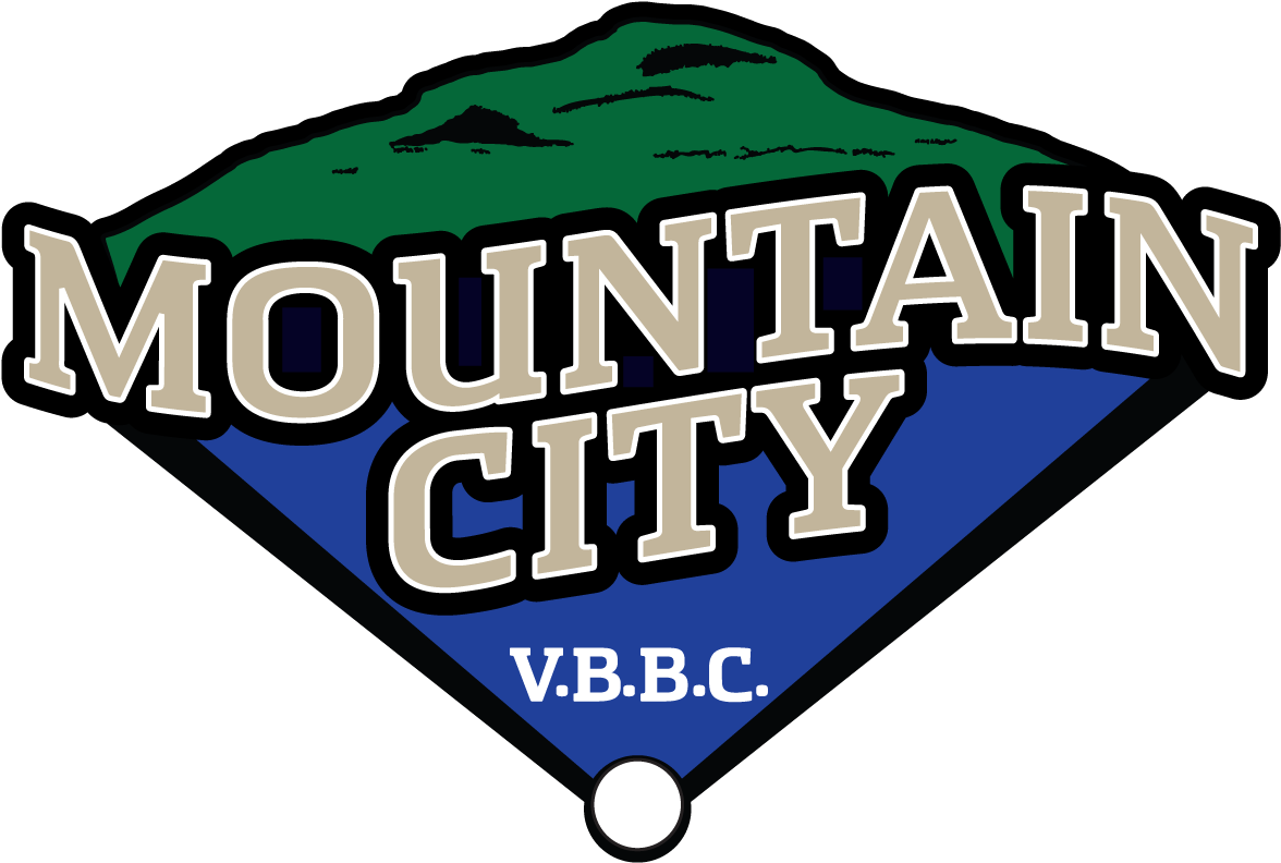 Tennessee Vintage Baseball Logo (1224x1224), Png Download