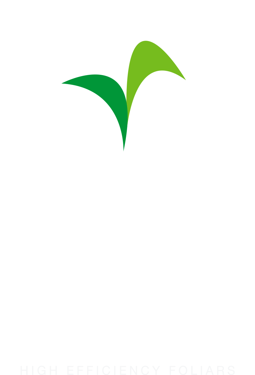 Garden Court Hotel Cape Town (900x1320), Png Download