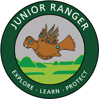 Hopewell Culture Nhp Jr - Junior Ranger (400x400), Png Download