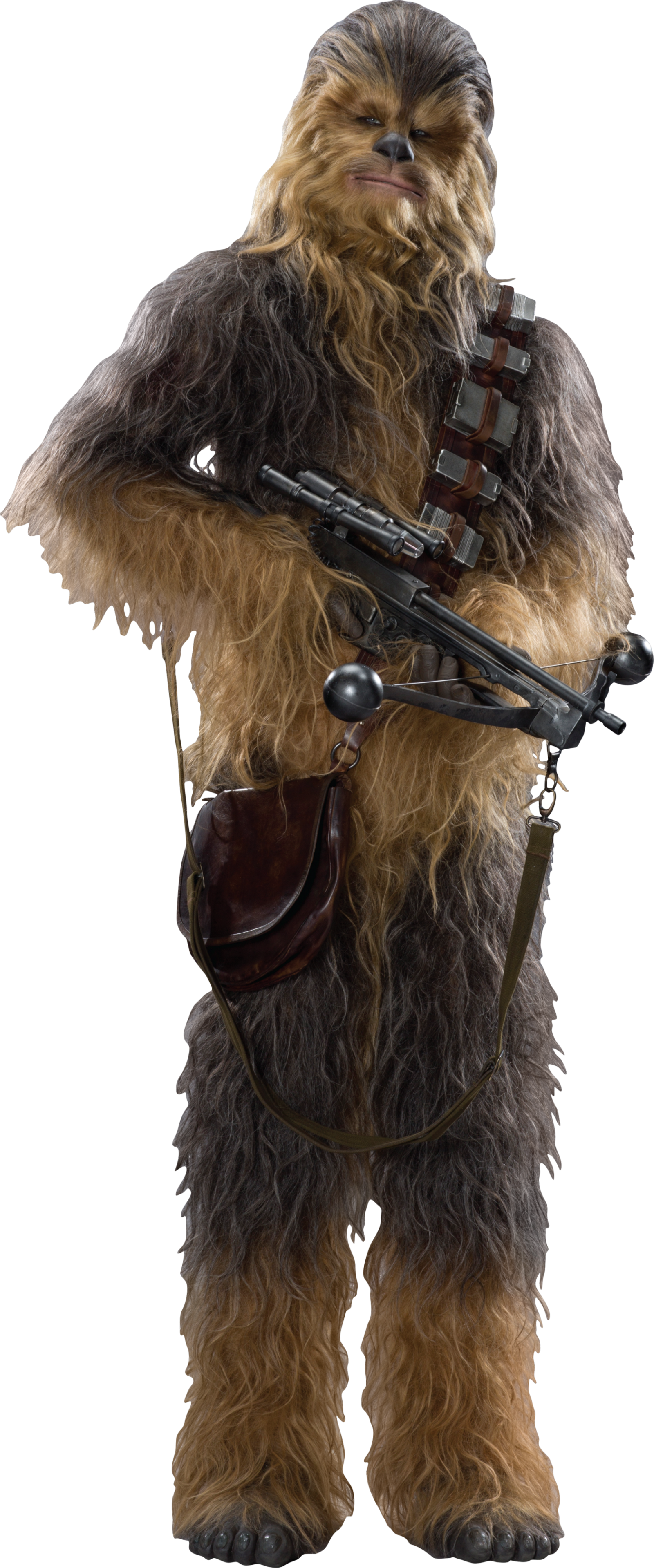 Banner Royalty Free Download Image Tfa Fathead Png - Chewbacca Star Wars Vii Cardboard Cutout Standup (1600x3837), Png Download