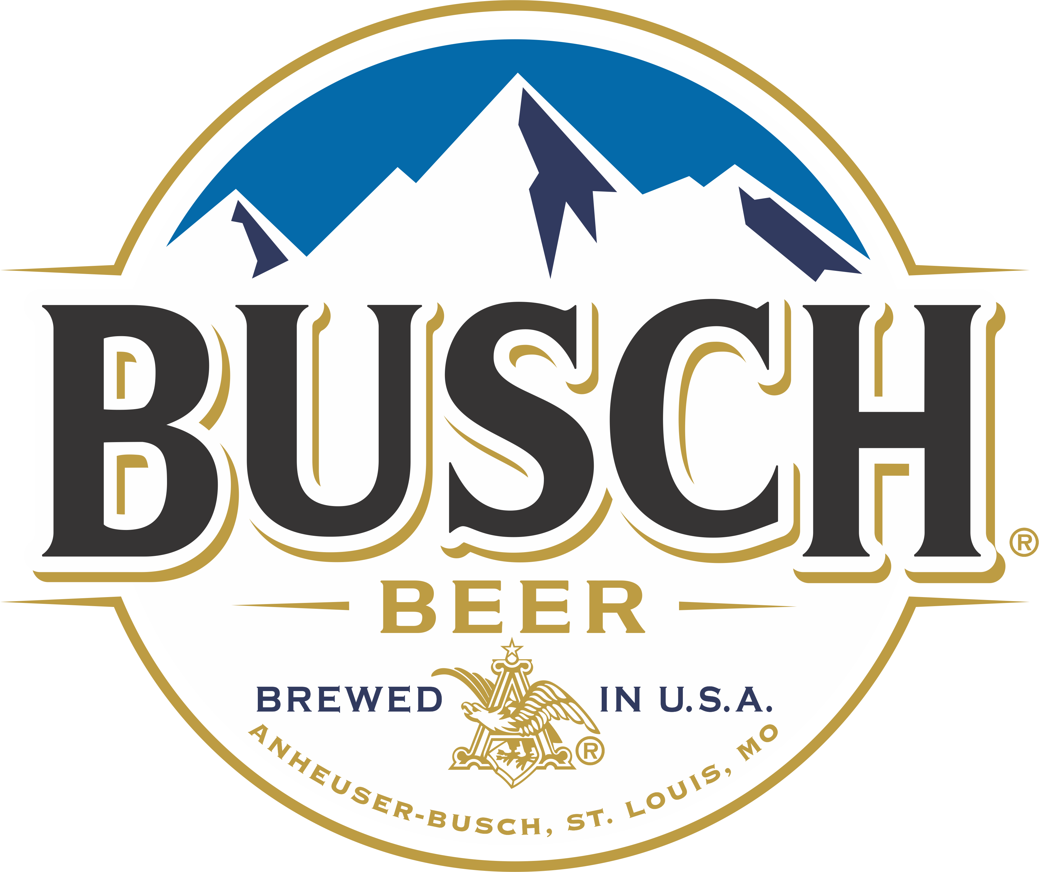 Download Anheuserbusch Busch Beer Can PNG Image with No Background