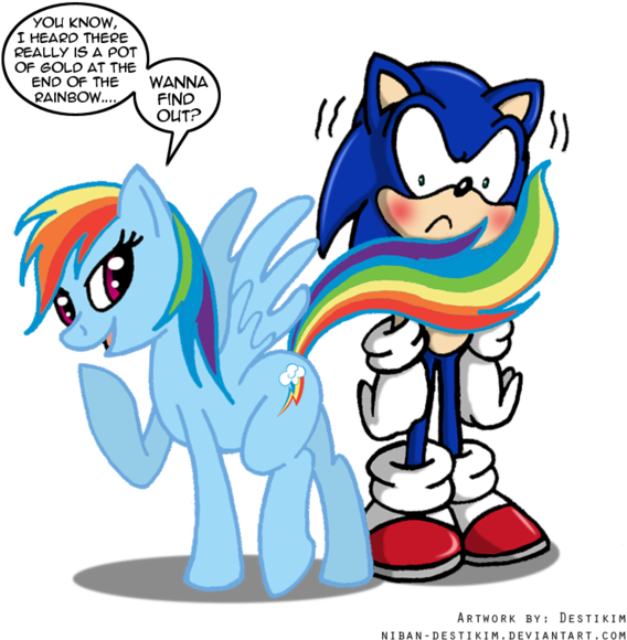 Sonic Team By Niban Destikim-d4dw2nw - Rainbow Dash And Sonic (600x589), Png Download