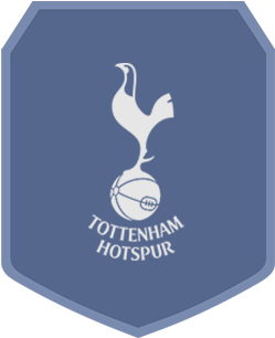 Fifa - Tottenham Hotspur Fc Fabric Storage Box (561x515), Png Download